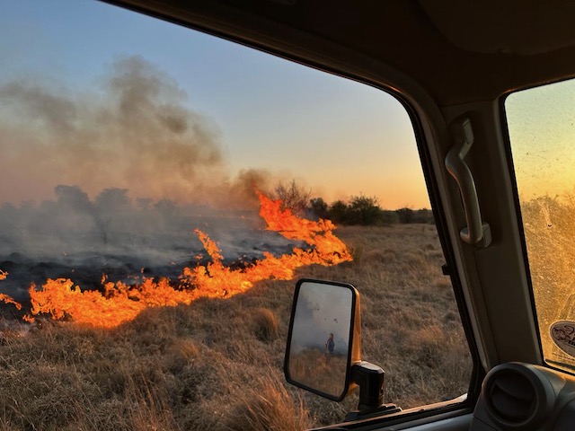 Firth Group Veld Fires